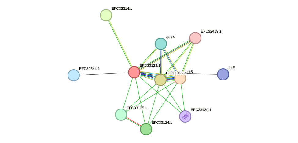 STRING protein interaction network