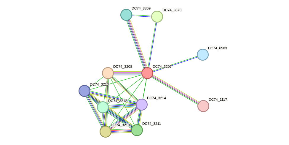 STRING protein interaction network