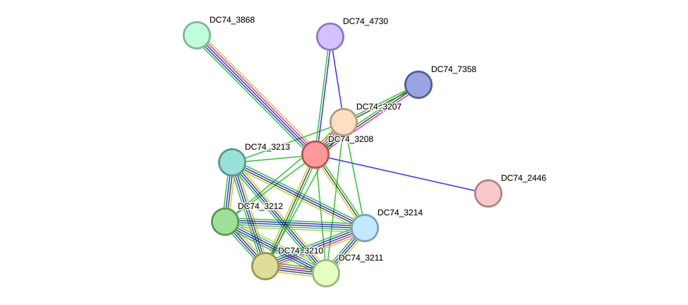 STRING protein interaction network