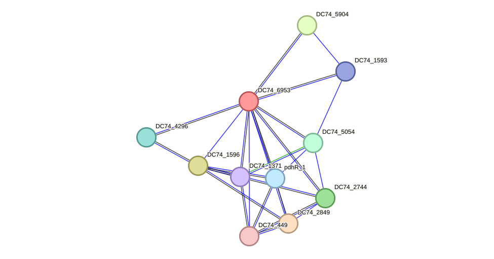 STRING protein interaction network