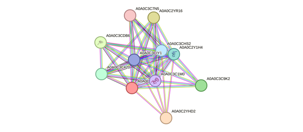 STRING protein interaction network