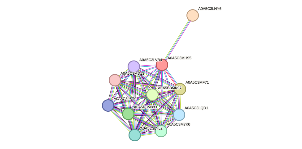 STRING protein interaction network