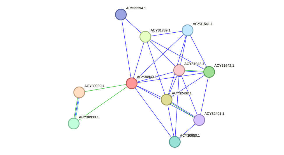 STRING protein interaction network