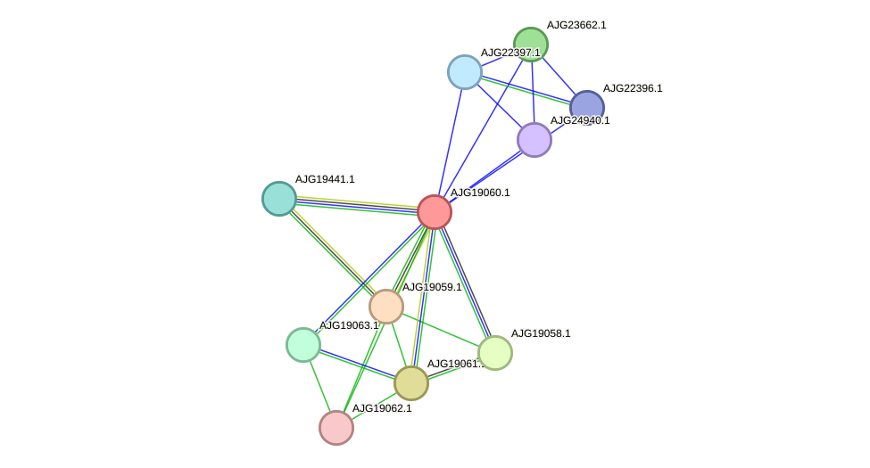 STRING protein interaction network