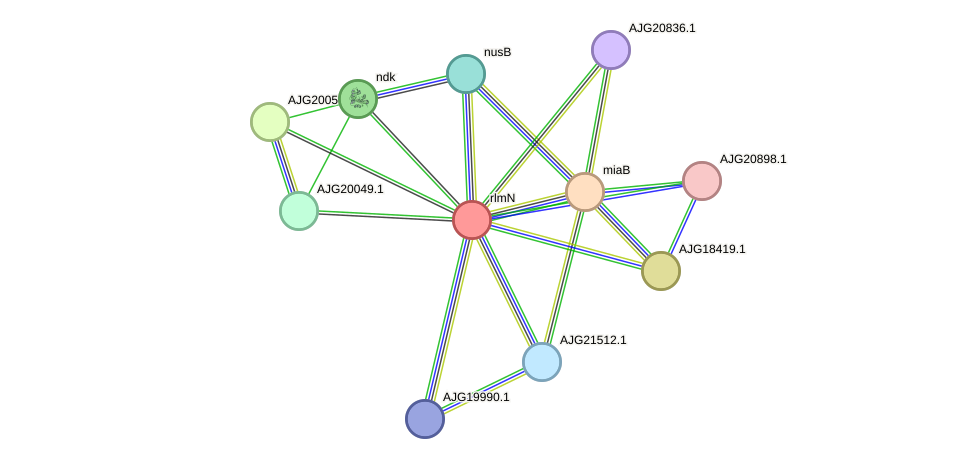 STRING protein interaction network