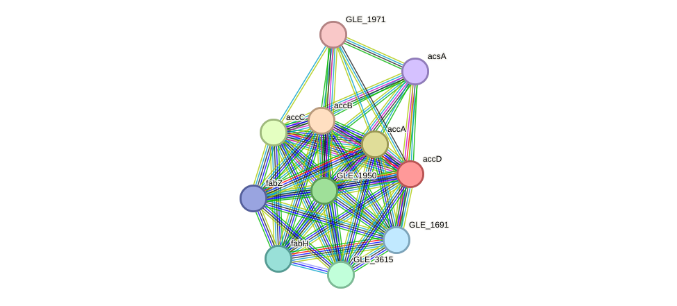 STRING protein interaction network
