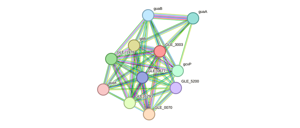 STRING protein interaction network