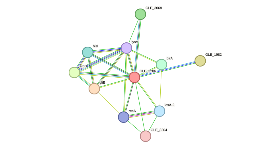 STRING protein interaction network