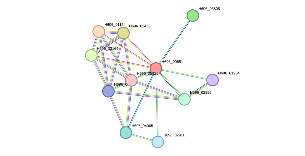 STRING protein interaction network