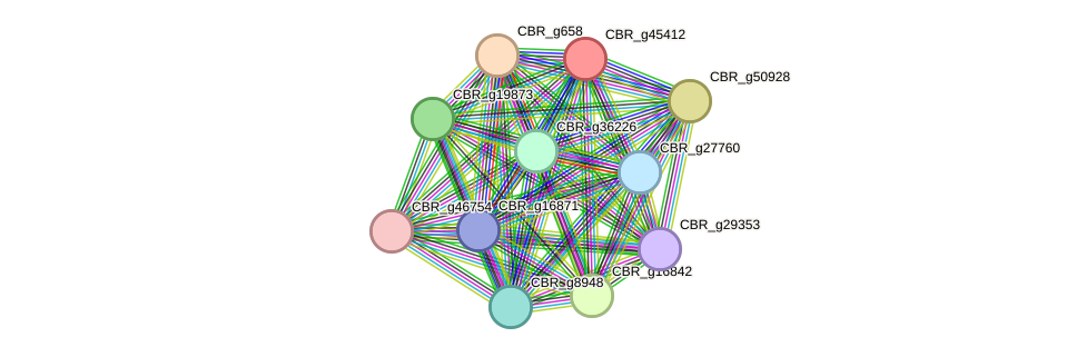 STRING protein interaction network