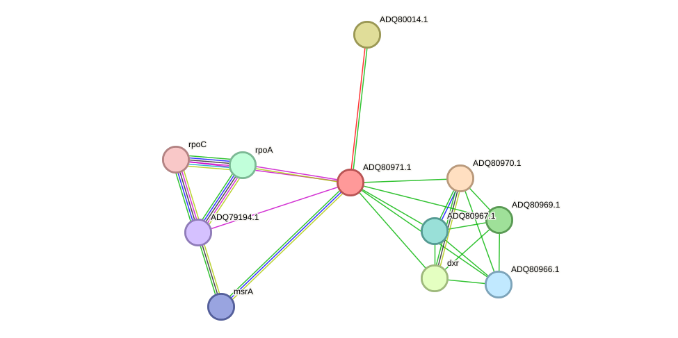 STRING protein interaction network