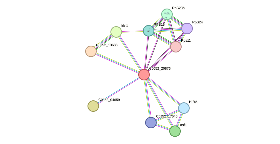 STRING protein interaction network