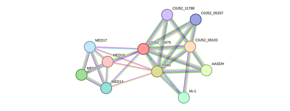 STRING protein interaction network