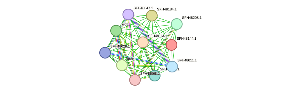 STRING protein interaction network