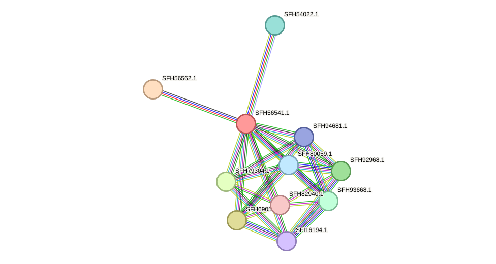 STRING protein interaction network