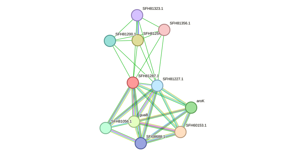 STRING protein interaction network