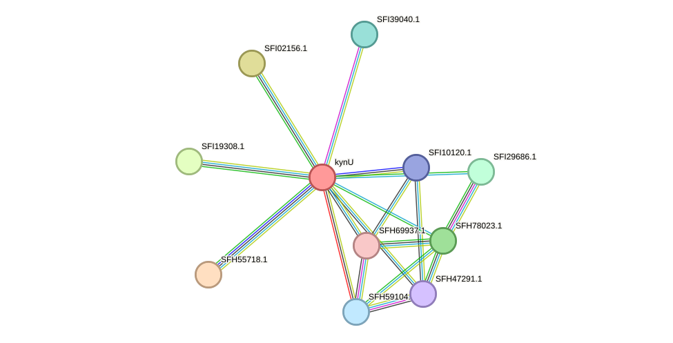 STRING protein interaction network