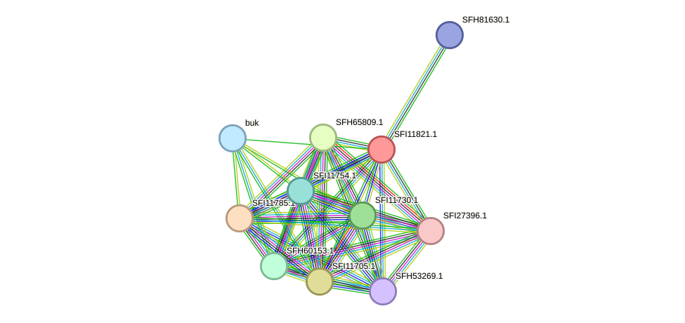 STRING protein interaction network