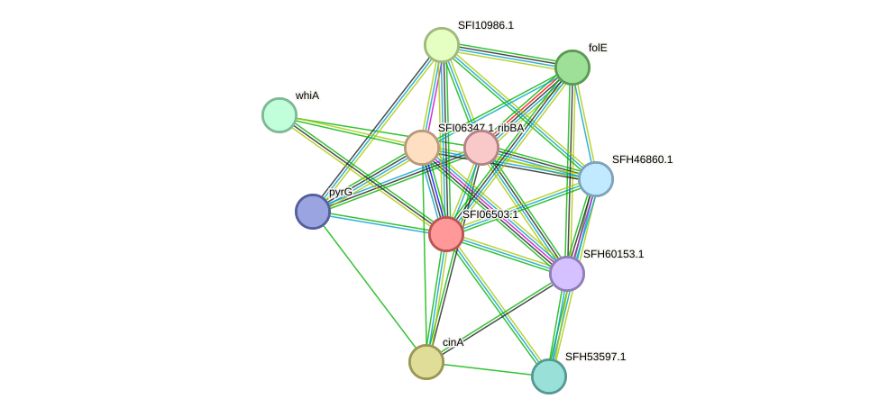 STRING protein interaction network