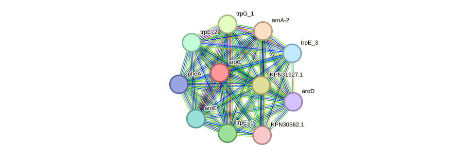 STRING protein interaction network
