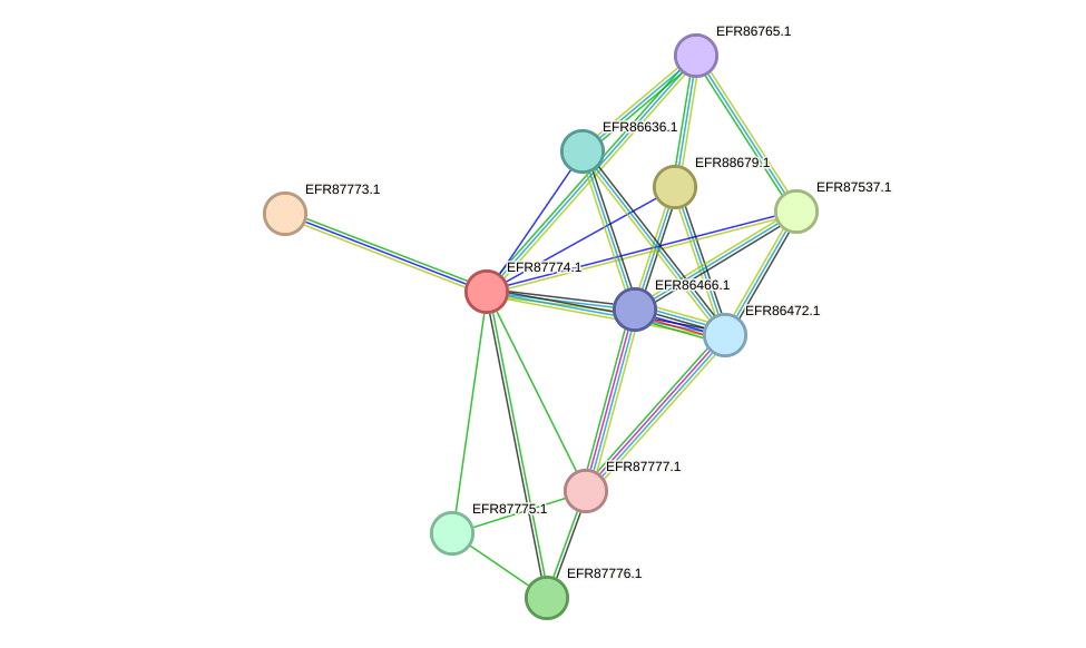 STRING protein interaction network