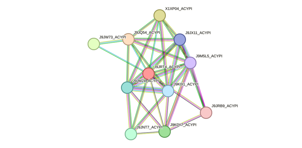 STRING protein interaction network