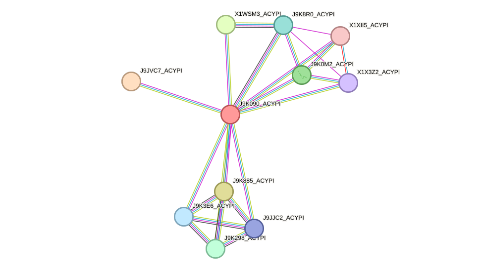 STRING protein interaction network