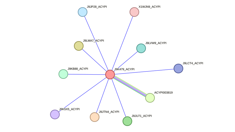 STRING protein interaction network