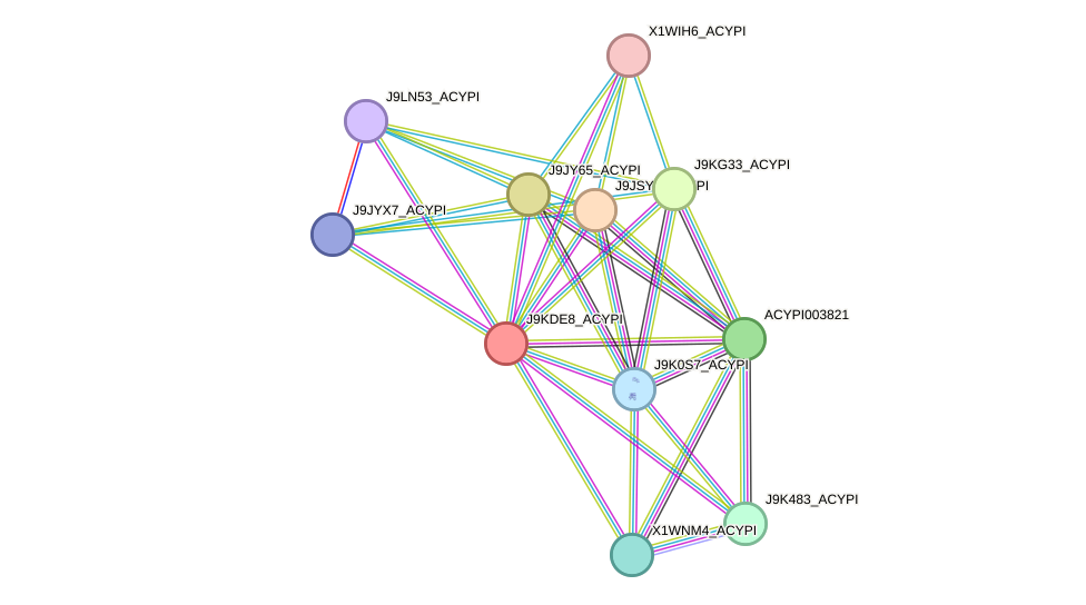 STRING protein interaction network