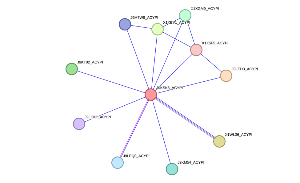 STRING protein interaction network