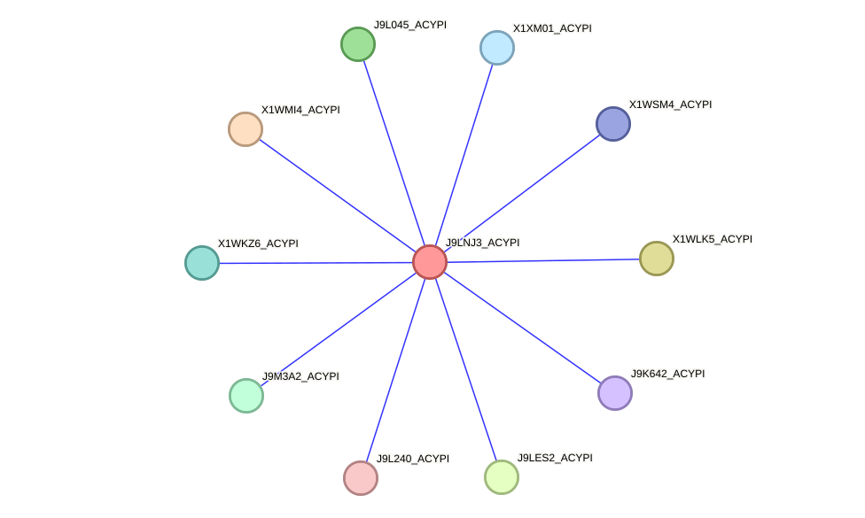 STRING protein interaction network