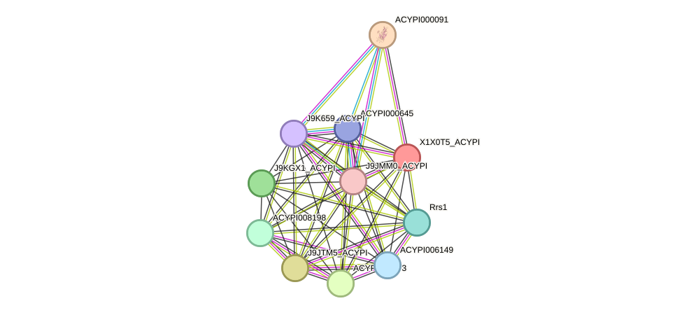 STRING protein interaction network