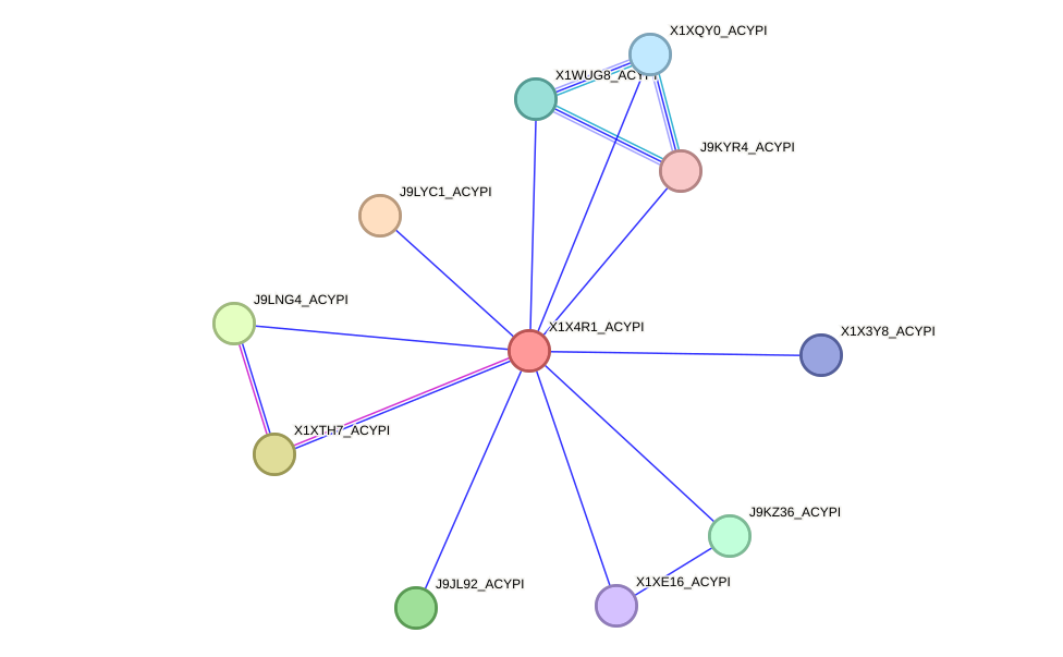 STRING protein interaction network