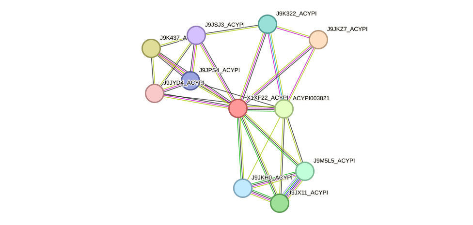 STRING protein interaction network