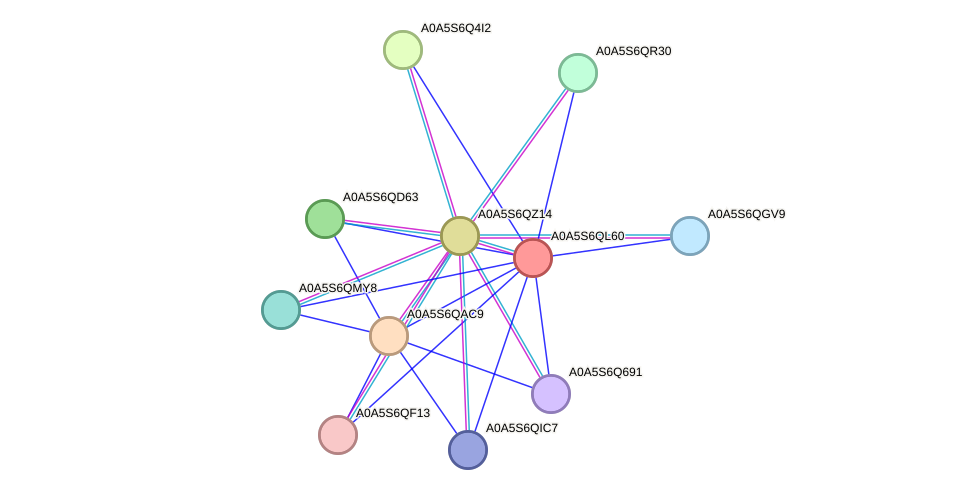 STRING protein interaction network