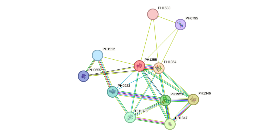 STRING protein interaction network