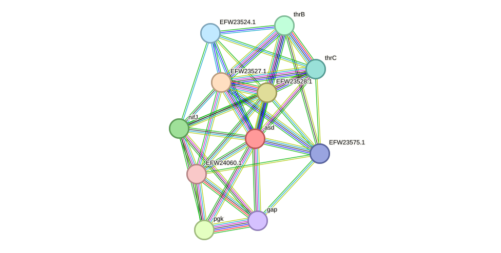 STRING protein interaction network
