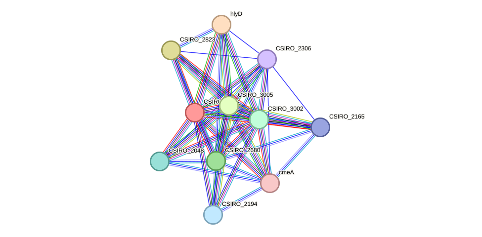 STRING protein interaction network