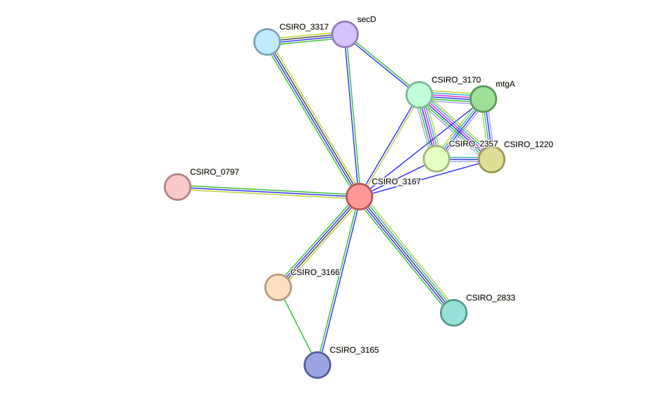 STRING protein interaction network