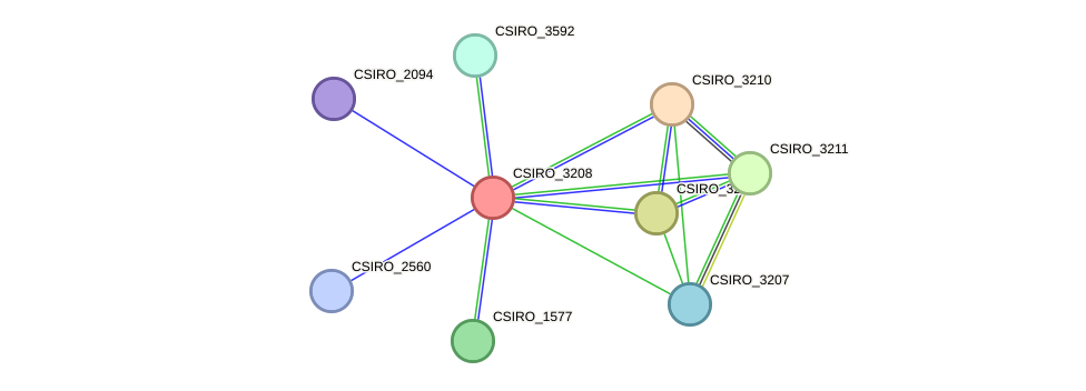 STRING protein interaction network