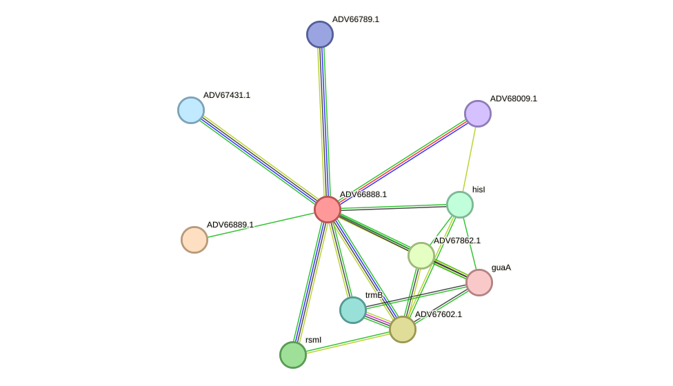 STRING protein interaction network