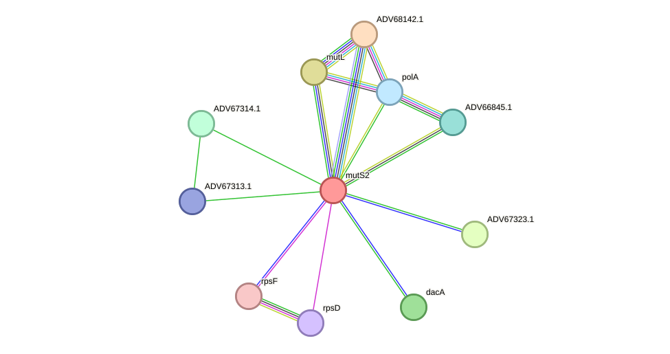 STRING protein interaction network