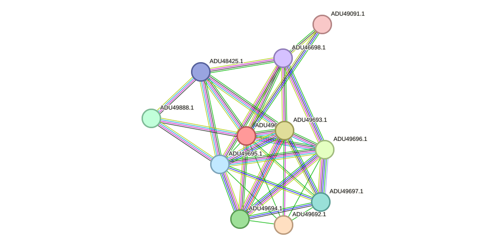 STRING protein interaction network