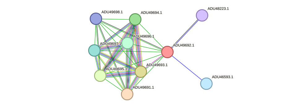 STRING protein interaction network