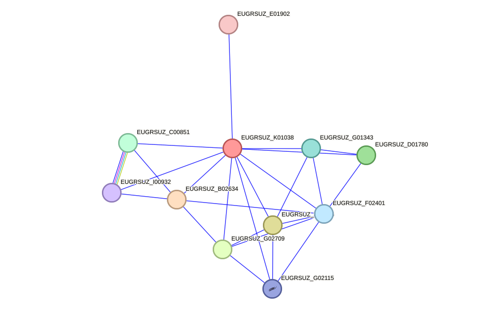 STRING protein interaction network