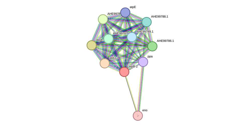 STRING protein interaction network
