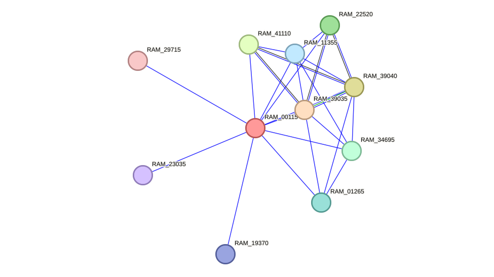 STRING protein interaction network