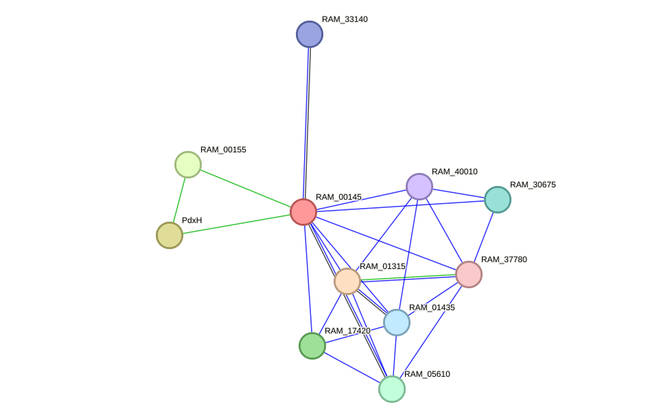 STRING protein interaction network