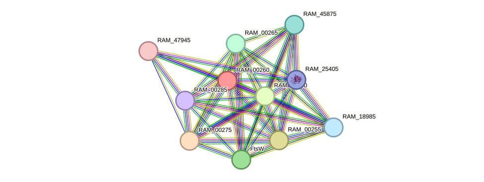 STRING protein interaction network