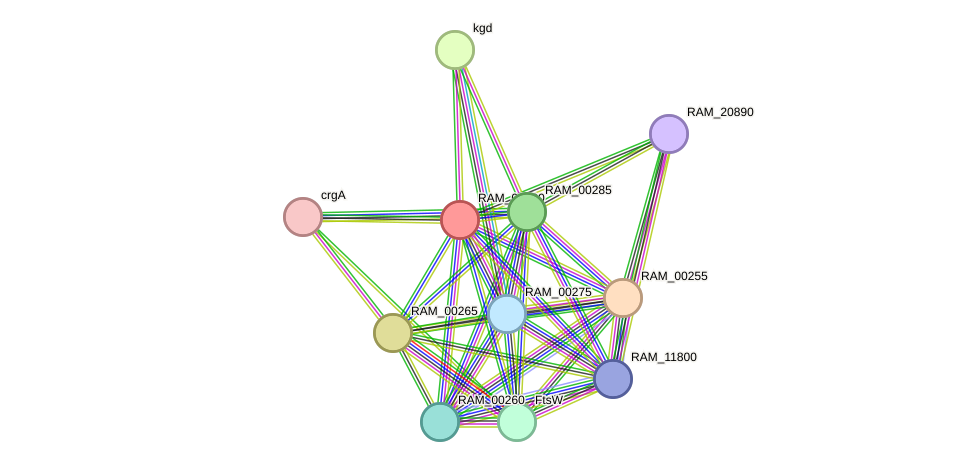 STRING protein interaction network
